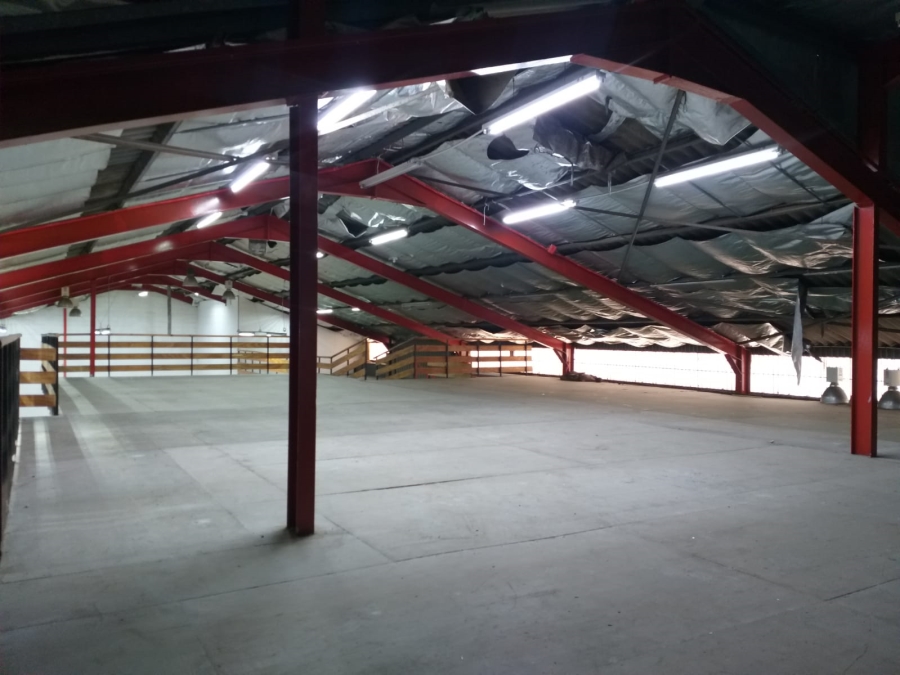 To Let Commercial Property for Rent in Oakdale Western Cape